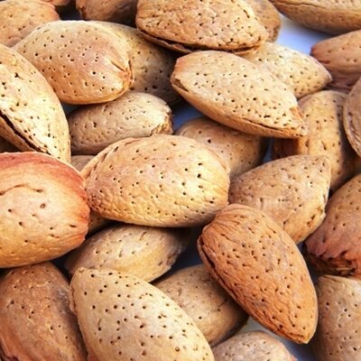 Amandes bio