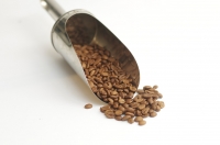 Café inde malabar moussonné moulu