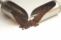 Mélange de l'ours en grains