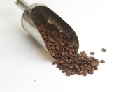Café papouasie korofeigue en grains