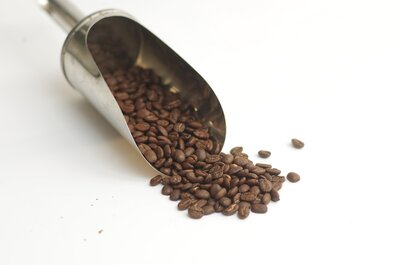 Café papouasie korofeigu en grains