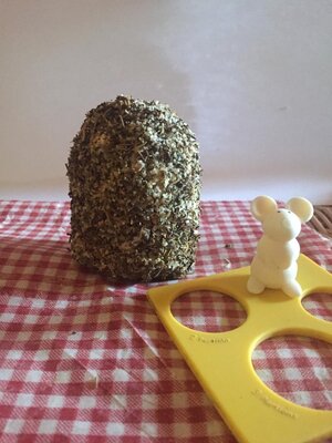 Fromage frais ail et fines herbes