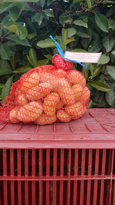 Pomme de terre grenaille filet 1.5 kg