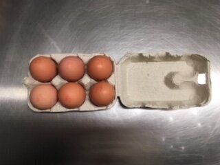 Oeufs bio