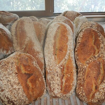 Pain aux graines 1kg