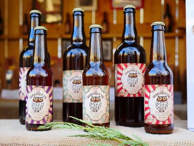 Bière ambrée 33 cl