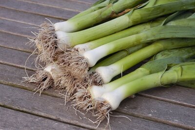 Poireaux vert bio, idée recette