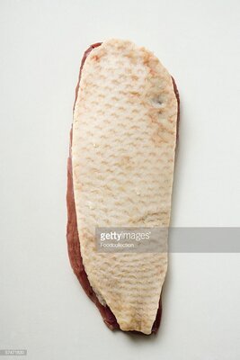 Magret de canard