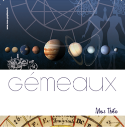 Gémeaux 2016 vin rouge bio