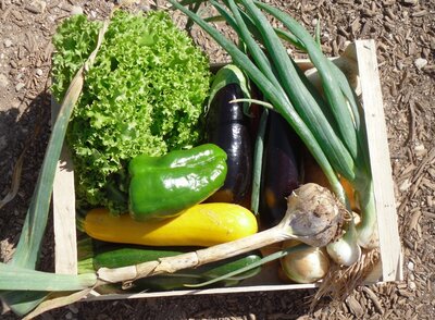 Panier bio légumes moyen mod (6 kg)