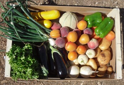 Panier bio légumes/fruits: gd md 9kg