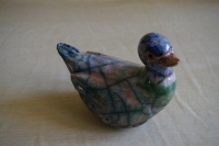 Canard col bleu