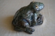 Grenouille - image 3