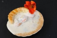 Coquille st-jacques