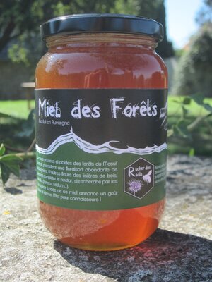 Miel des forêts