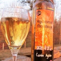 Hydromel moelleux 2015 - 16%