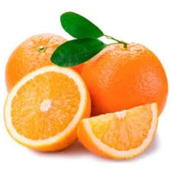 Oranges table bio-italie