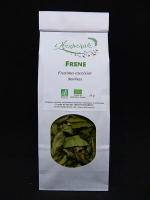 Frêne