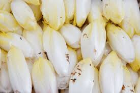 Endive de terre