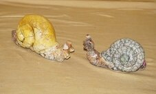 Escargot en couleur