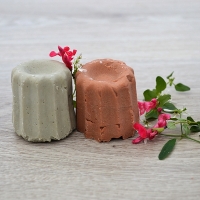 Shampoing solide cheveux normaux au pin