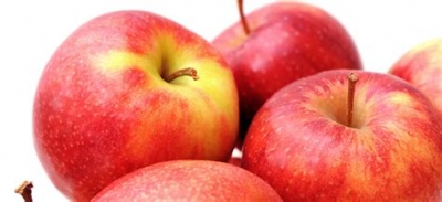 Pomme jonagold bio