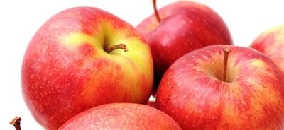 Pomme jonagold bio