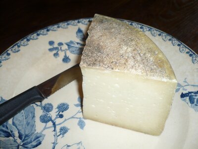 Tomme de brebis au lait cru entier