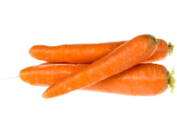 Carottes des sables