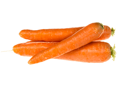 Carottes des sables
