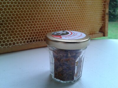1🐝propolis brute a mâcher