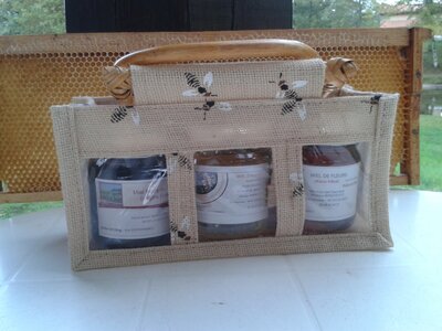 P1 - panier toile 'abeille' à offrir ou à