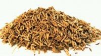 Cumin entier