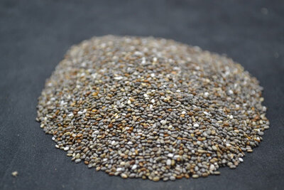 Graine de chia
