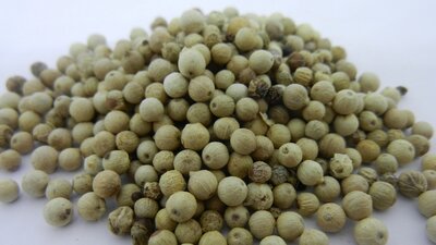 Poivre blanc de muntock