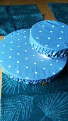 Charlottes de plat, lot de 2 'étoiles bleues'