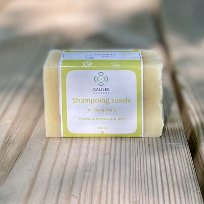 Shampoing solides cheveux normaux à secs
