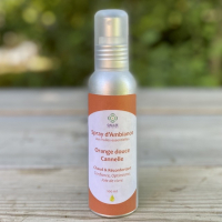 Spray d'ambiance orange cannelle