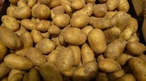 Pomme de terre monalisa
