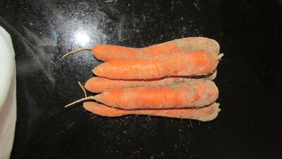 Carottes 1 kg