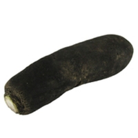 Radis noir