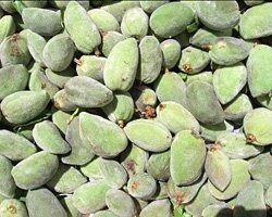 Amandes en enveloppe bio