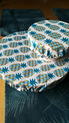 Charlottes de plat, lot de 2 'ananas bleus'