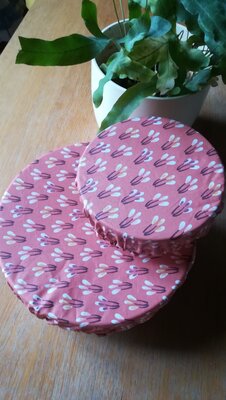Charlottes de plat, lot de 2 'ginkos'