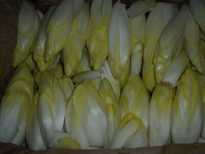 Endives
