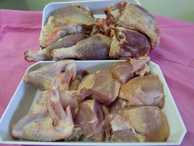 5/6  morceaux coq