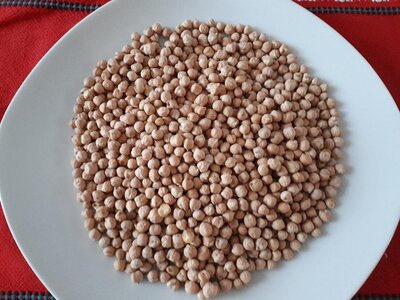Graine de pois chiche issu de notre exploitation