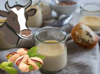 Vache-crème dessert pistache