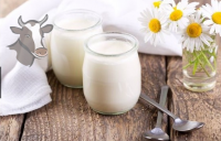 Vache-yaourt nature sucré