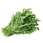 Roquette cultivée